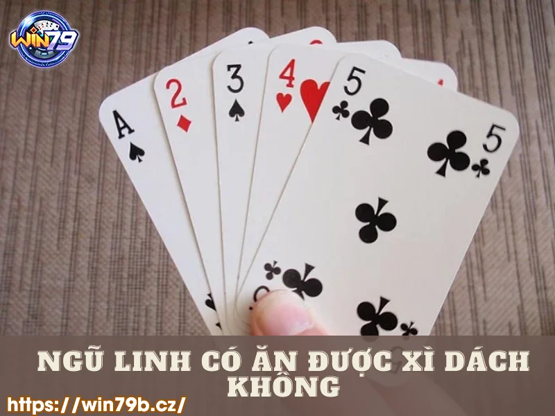 Ngũ Linh có ăn được Xì dách không?
