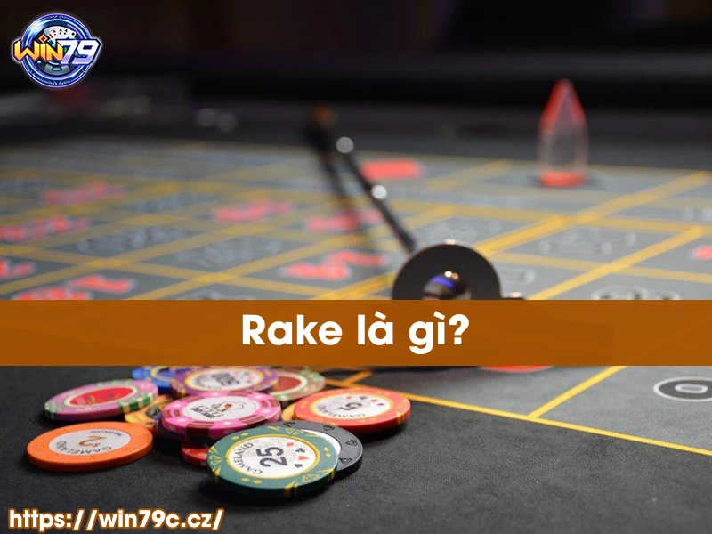 Rake là gì?