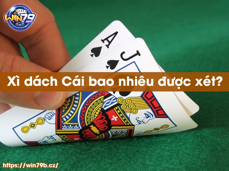 Xì dách Cái bao nhiêu được xét