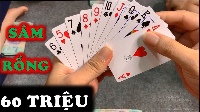 Tại sao Sảnh Rồng Trong Sâm lại hiếm và quý?