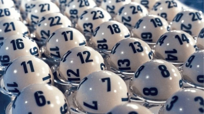 Phương Pháp Bắt Đề Dàn | Cách Nuôi Dàn Không Bị Lỗ Kubet