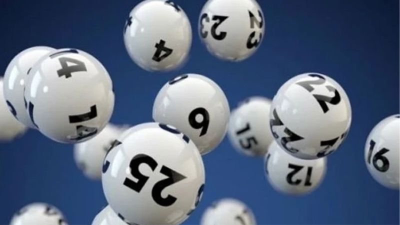 Phương Pháp Bắt Đề Dàn | Cách Nuôi Dàn Không Bị Lỗ Kubet