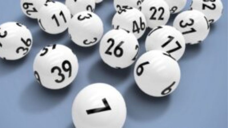 Phương Pháp Bắt Đề Dàn | Cách Nuôi Dàn Không Bị Lỗ Kubet